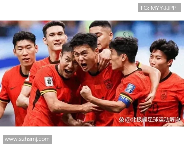 长毛足球球星的传奇人生与绿茵场上的荣耀与挑战